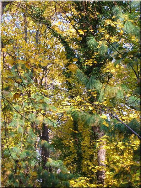 DSCN2109.jpg