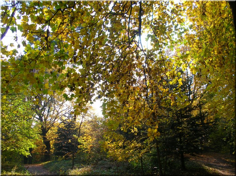 DSCN2111.JPG