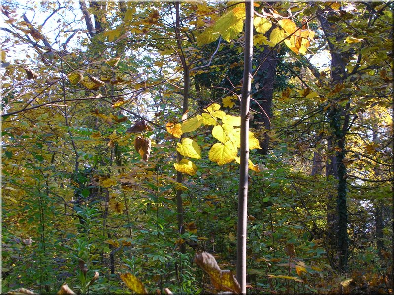 DSCN2112.JPG