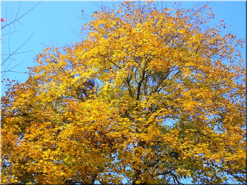 DSCN2113.JPG