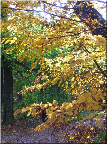 DSCN2117.jpg