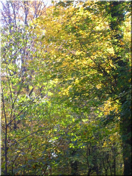 DSCN2118.jpg