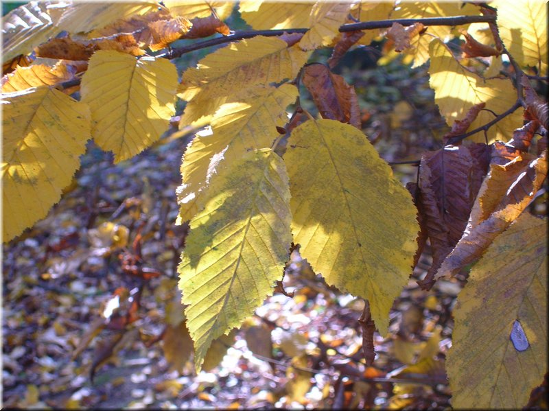DSCN2123.JPG