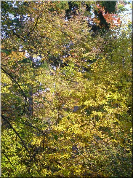 DSCN2125.jpg