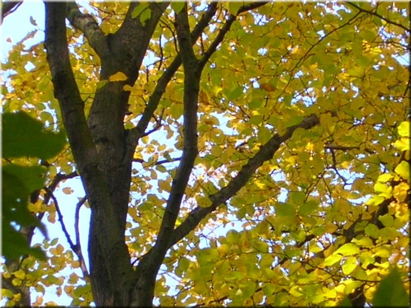 DSCN2128.JPG