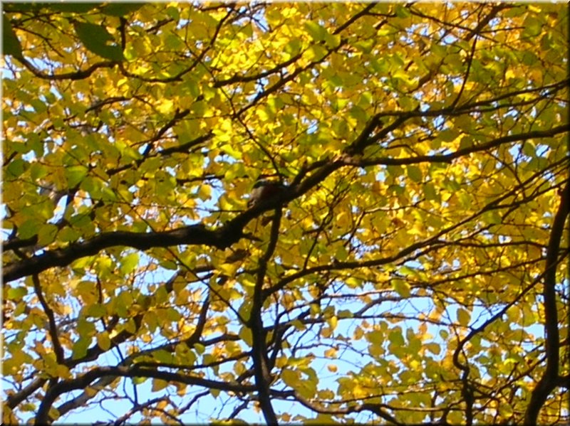 DSCN2129.JPG