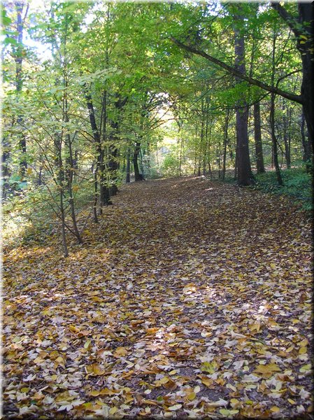 DSCN2132.jpg