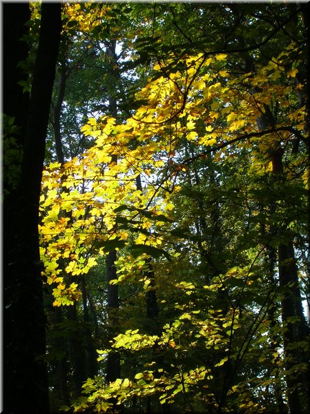 DSCN2134.jpg