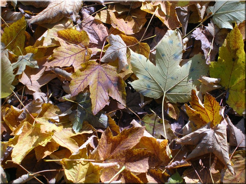 DSCN2136.JPG