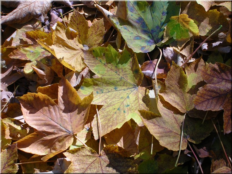 DSCN2137.JPG