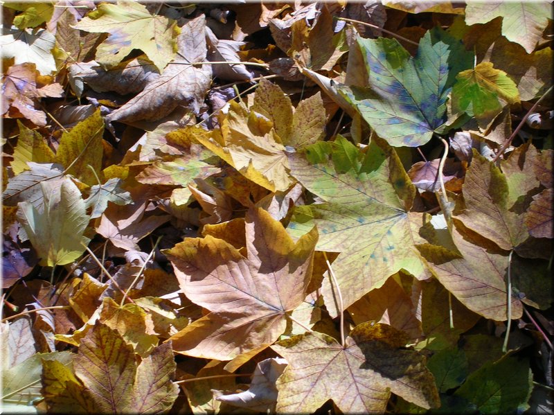 DSCN2138.JPG
