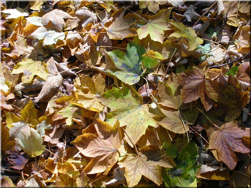 DSCN2139.JPG