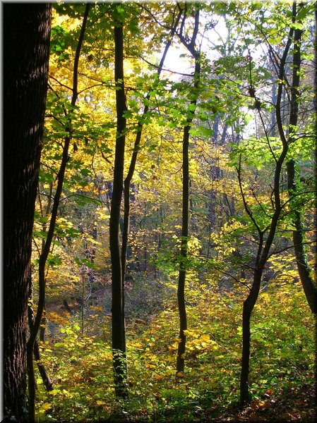 DSCN2145.jpg