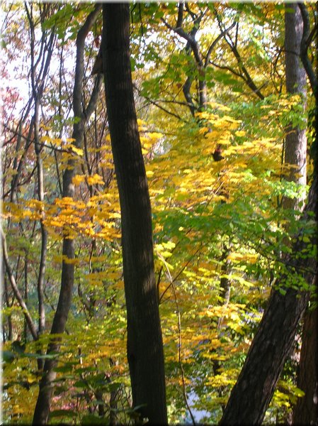 DSCN2147.jpg