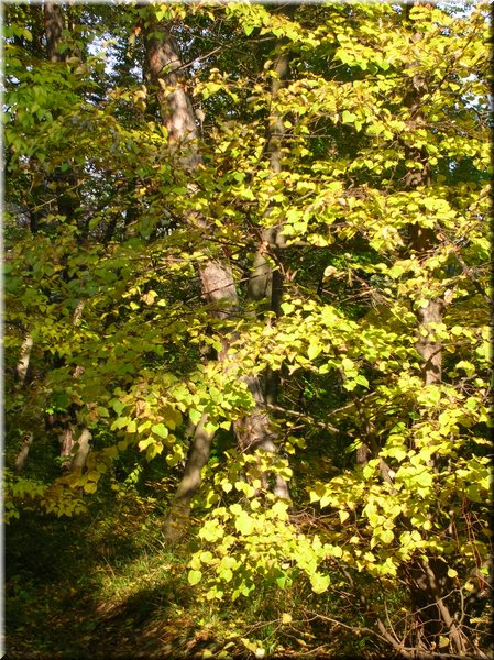 DSCN2148.jpg