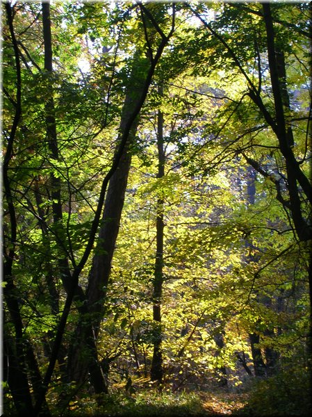 DSCN2151.jpg