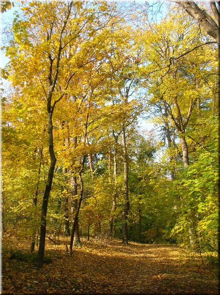 DSCN2155.jpg