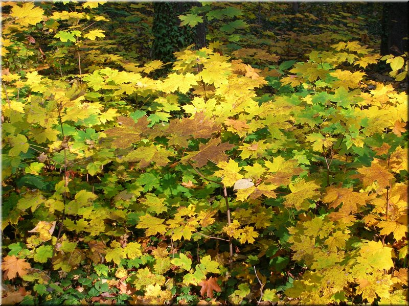 DSCN2156.JPG