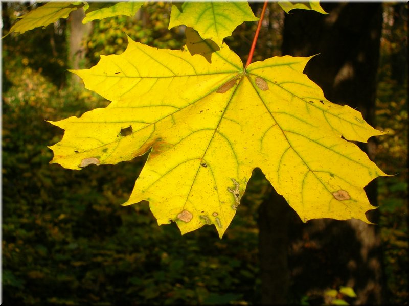 DSCN2159.JPG