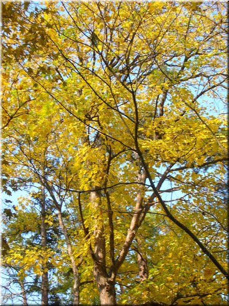 DSCN2161.jpg
