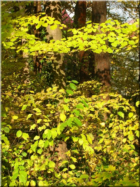 DSCN2164.jpg