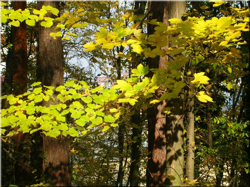 DSCN2165.JPG
