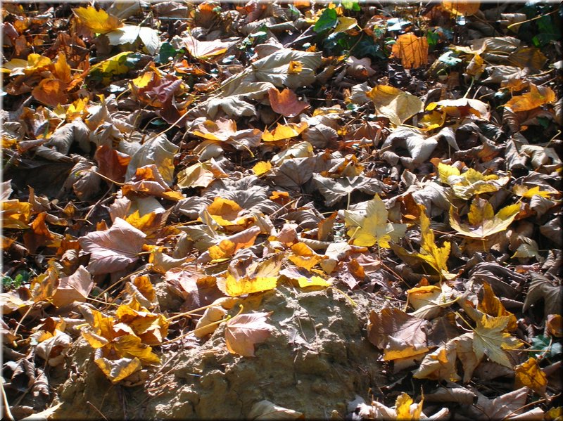 DSCN2167.JPG