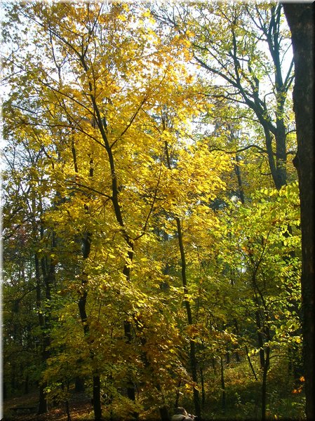 DSCN2169.jpg