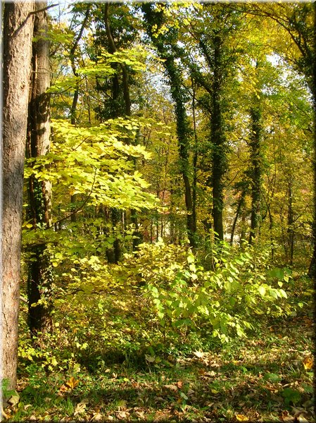 DSCN2172.jpg