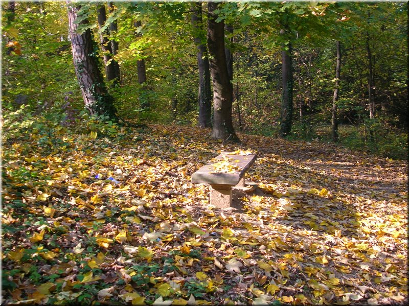 DSCN2173.JPG
