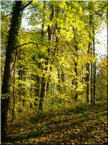DSCN2176.jpg