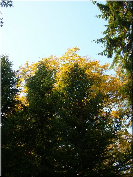 DSCN2178.jpg