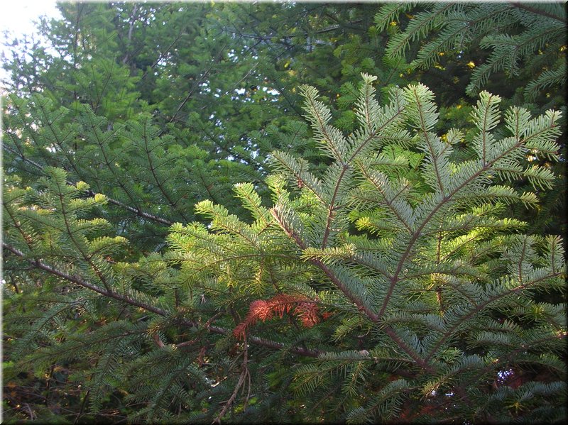 DSCN2180.JPG