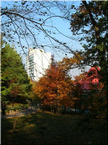 DSCN2183.jpg