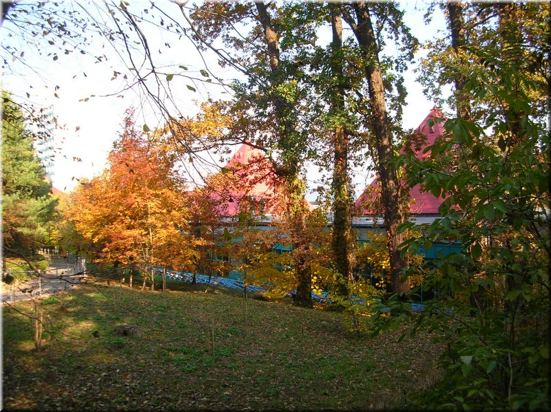 DSCN2184.JPG