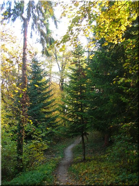 DSCN2185.jpg