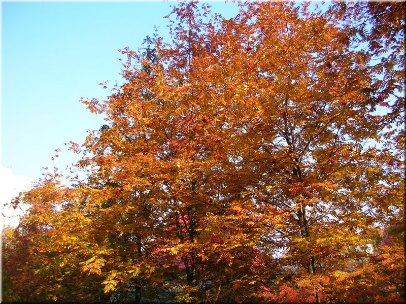 DSCN2186.JPG