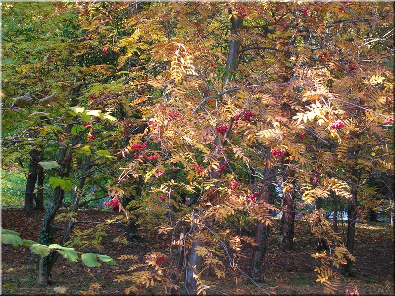 DSCN2187.JPG