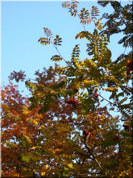 DSCN2189.jpg