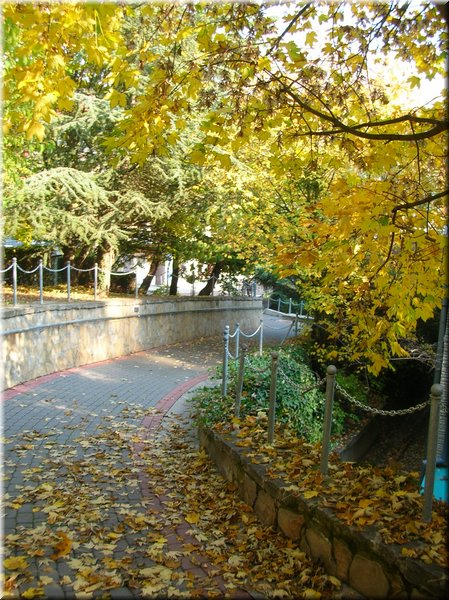 DSCN2195.jpg