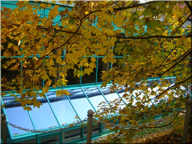 DSCN2196.JPG