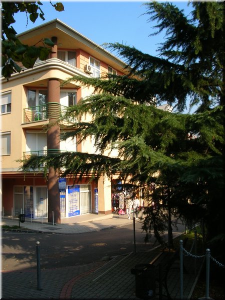 DSCN2197.jpg