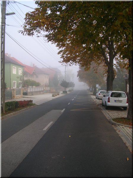 DSCN2205.jpg