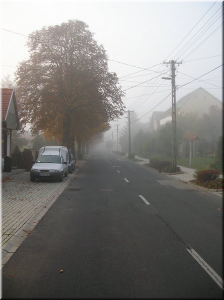 DSCN2206.jpg