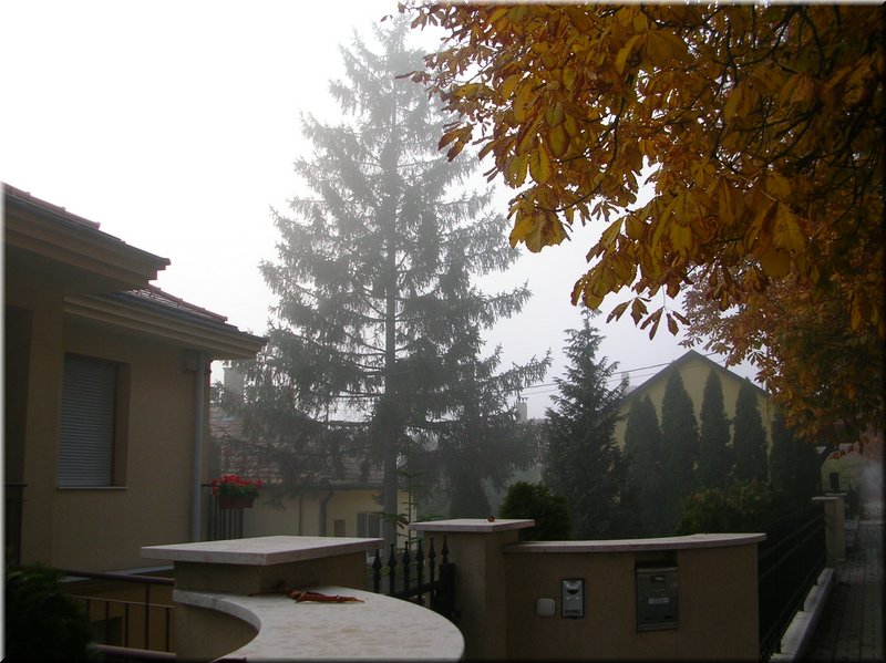 DSCN2208.JPG