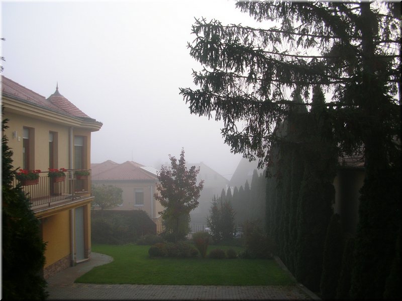 DSCN2209.JPG