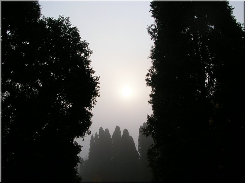 DSCN2211.JPG
