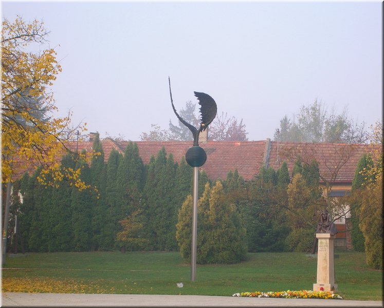 DSCN2217.jpg