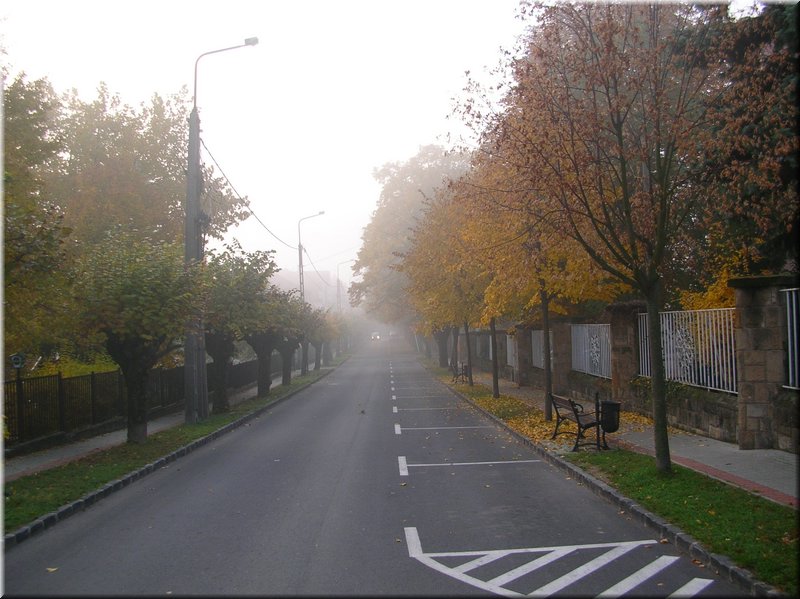 DSCN2219.JPG