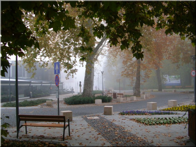 DSCN2223.JPG